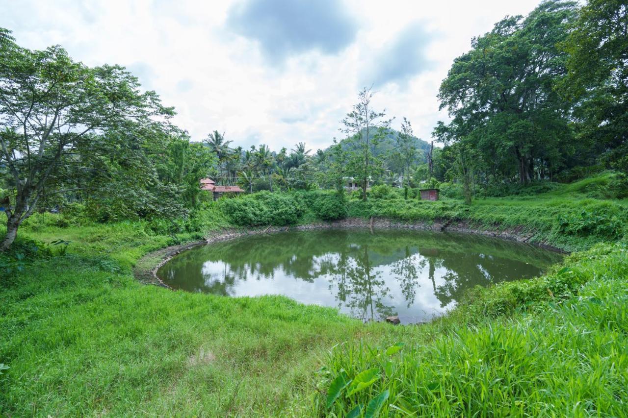 Mystic Trees, Kumily Daire Thekkady Dış mekan fotoğraf